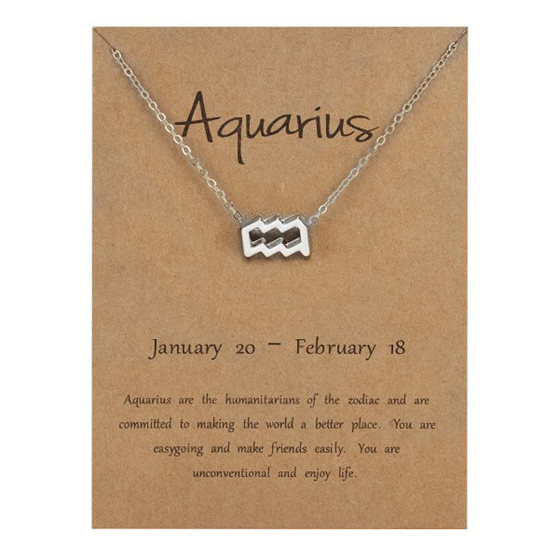 Buy Aquarius Zodiac Sign & Birthstone Necklace, Sterling Silver Horoscope  and Crystal Pendant, the Perfect Birthday Gift for Her or Any Occasion  Online in India - Etsy