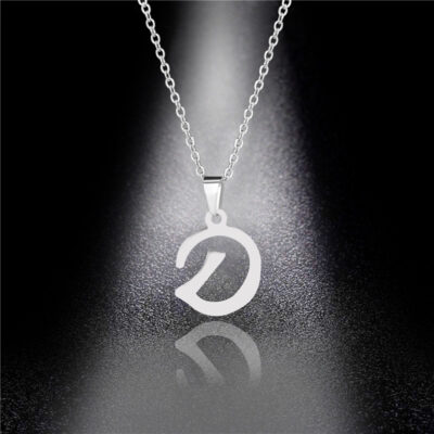 Stainless Steel Necklace(D)